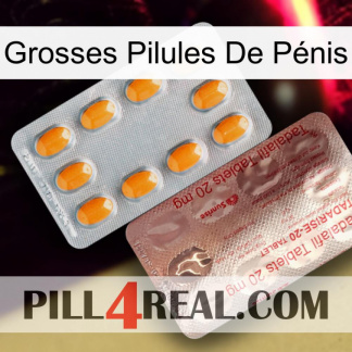 Grosses Pilules De Pénis new13
